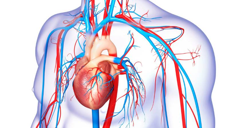 Conditions Treated IVC Filter