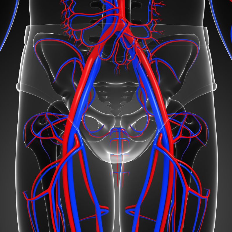 Imaging and Interventional Specialists Find Out the Cause of Your Pelvic Pain