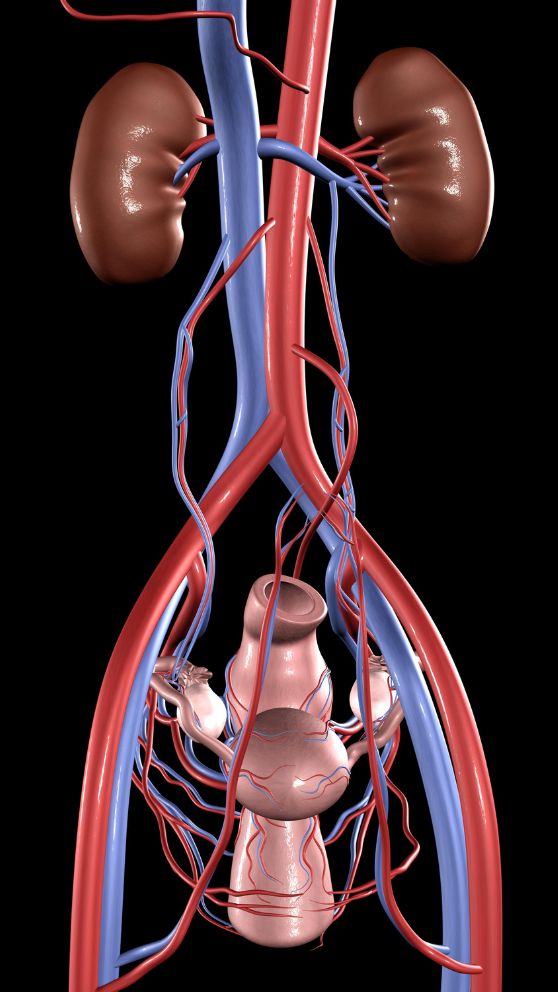 Why Imaging and Interventional Specialists